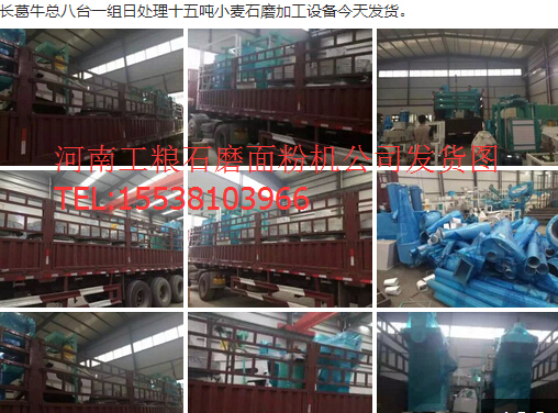 長(zhǎng)葛?？偘伺_(tái)一組日處理十五噸小麥?zhǔn)ゼ庸っ娣蹤C(jī)設(shè)備今天發(fā)貨